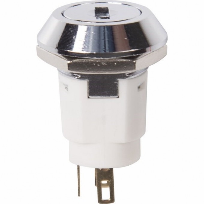 Выключатель ключ REXANT 16 250V 2А 36-4472 Выключатель ключ REXANT 16 250V 2А 36-4472